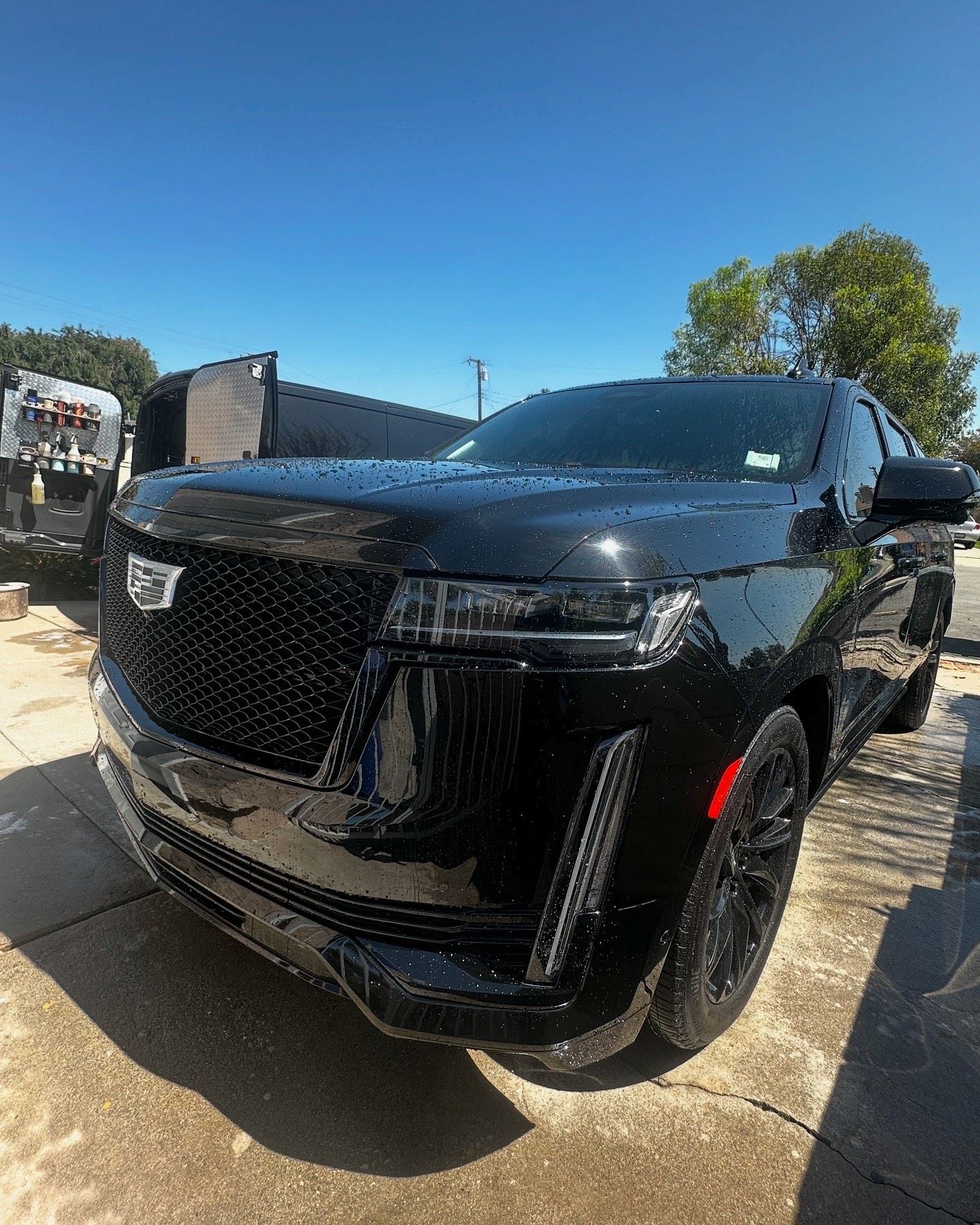 Gleaming black Cadillac Escalade after a full detail